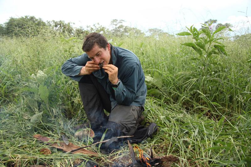 Bear Grylls a obosit. Nu se mai poate preface că bucata lui de... broască e gustoasă!