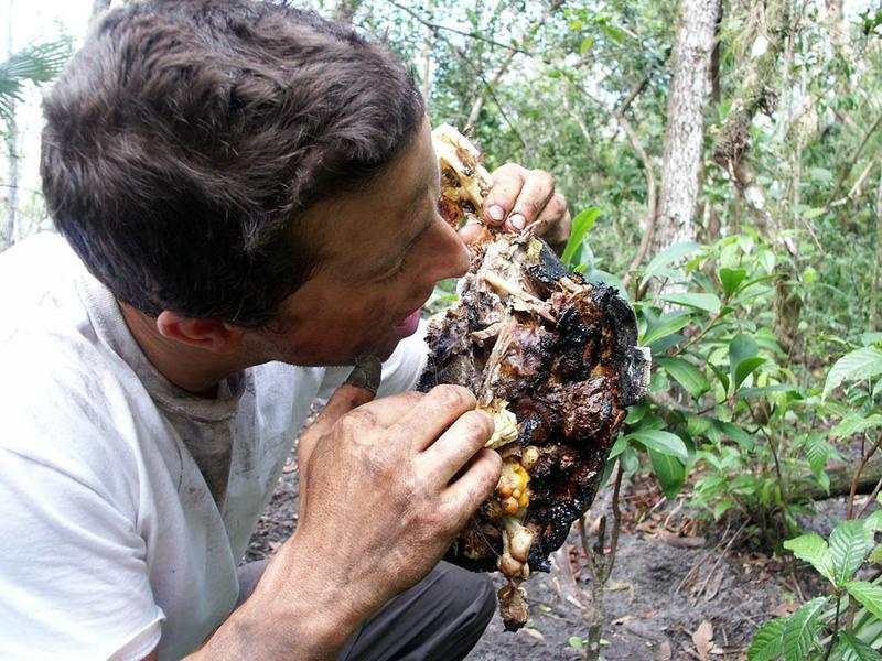 Partea bună e că această halcă de carne e friptă. Partea proastă e că pare reciclată... şi oricum, ce atârnă acolo?!!!
