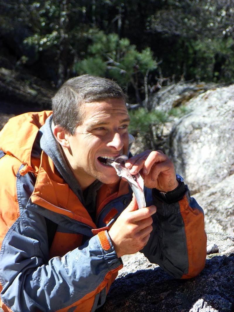 Peştele, chiar şi crud, e o delicatesă în comparaţie cu alte mese ale lui Bear Grylls