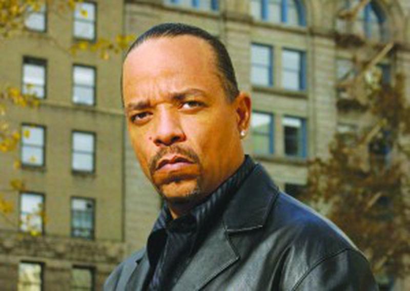 stealth fighter_ice t