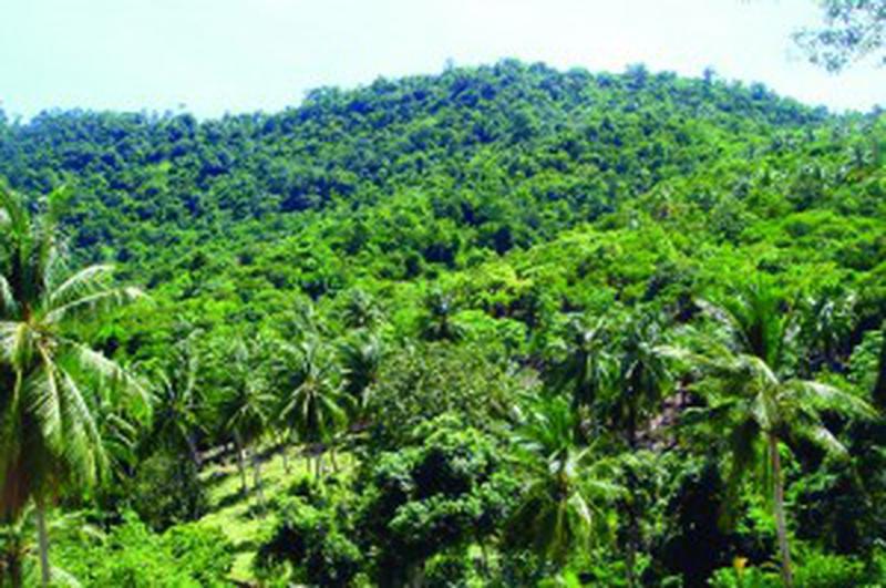 paradisuri naturale