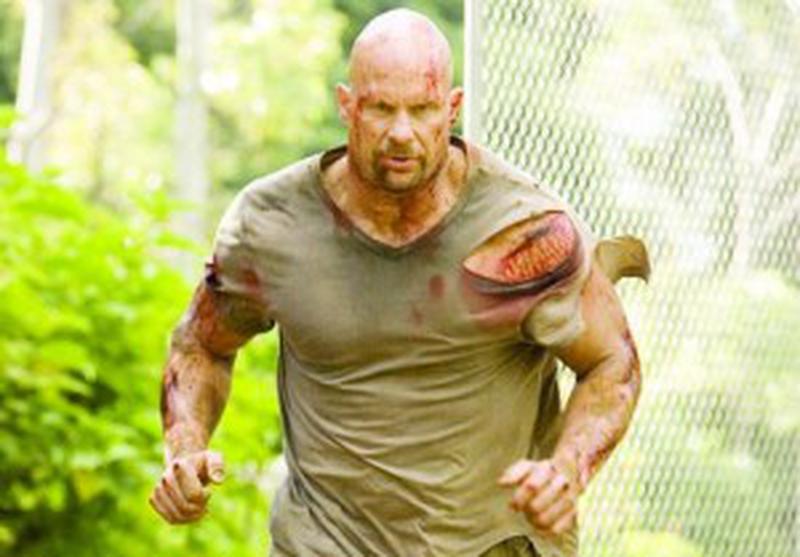 steve
