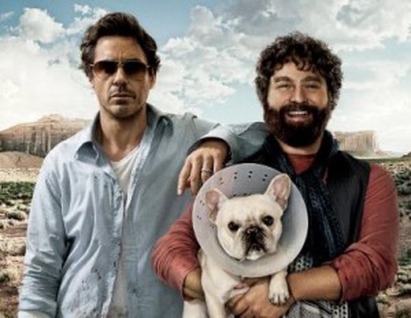 Zach Galifianakis şi Robert Downey Jr.