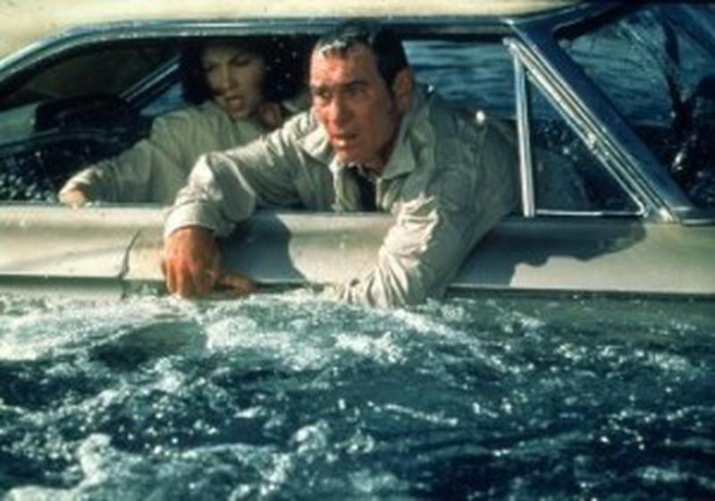 Ashley Judd şi Tommy Lee Jones