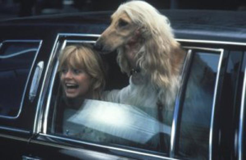 Goldie Hawn