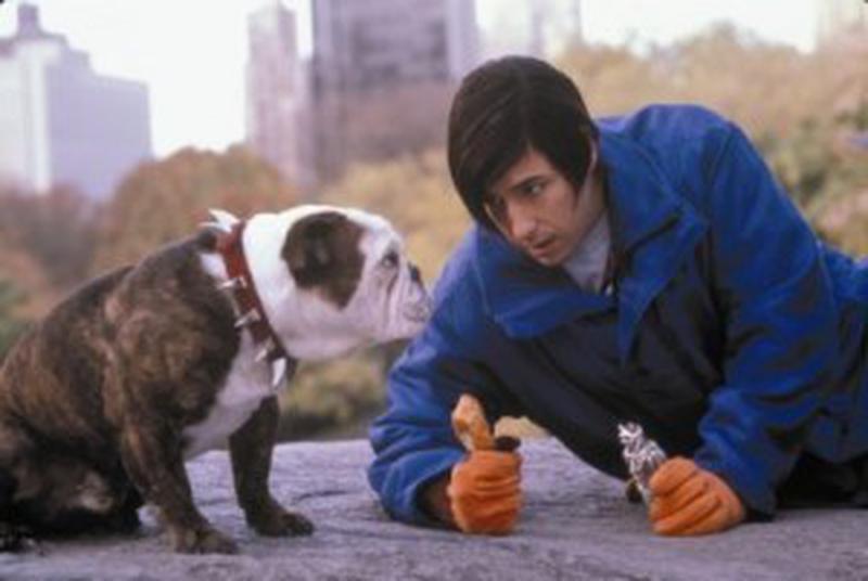 Adam Sandler