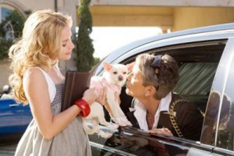 Piper Perabo şi Jamie Lee Curtis