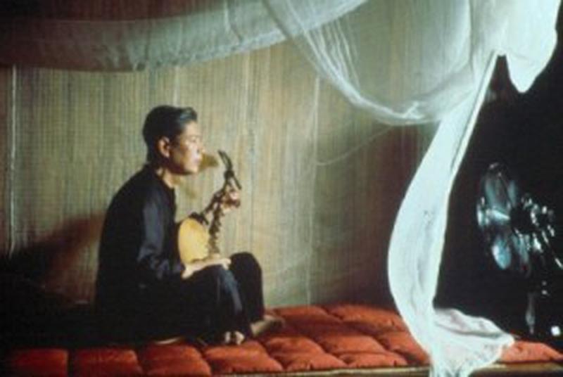 Mirosul de papaya verde - Ngoc Trung Tran