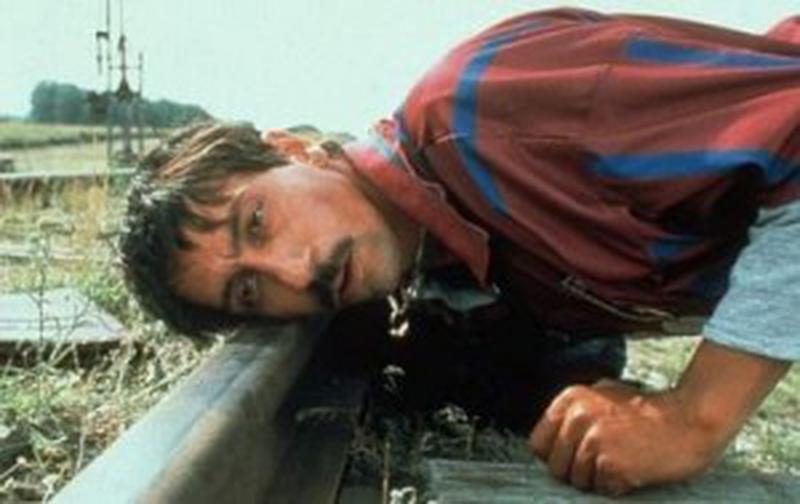 Pisica albă, pisica neagră - Bajram Severdzan