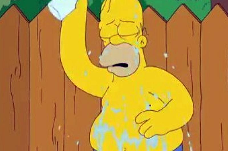 Homer Simpson
