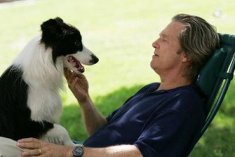 Un an cu un câine - Jeff Bridges