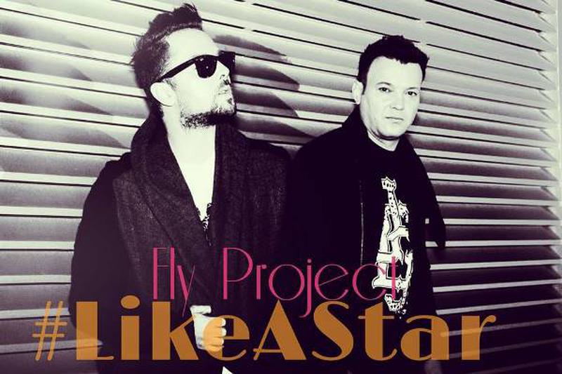 fly project