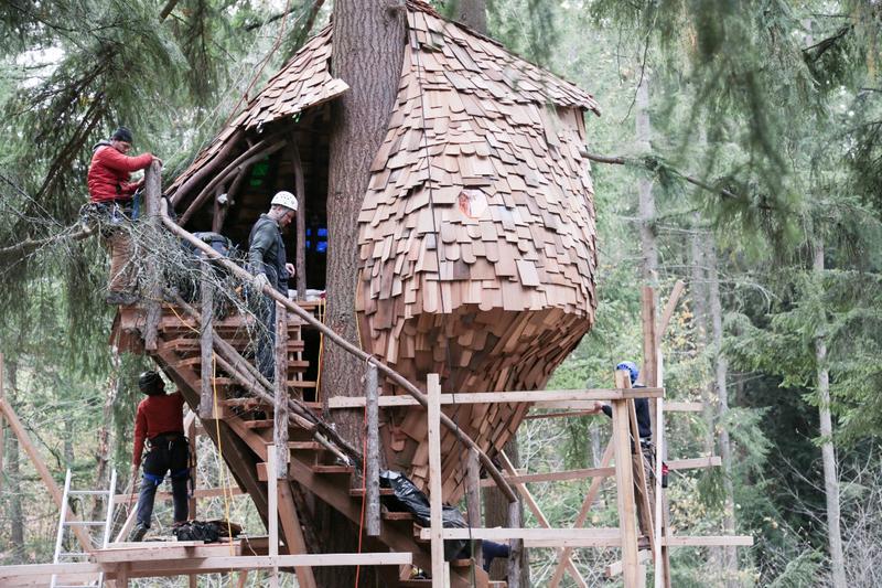 TREEHOUSE MASTERS 3