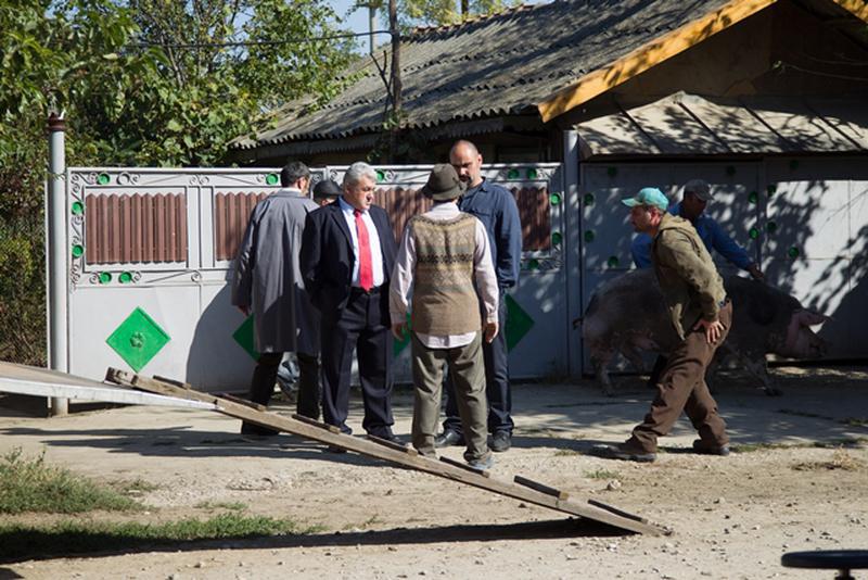 Celentano, Ardiles si delegatia Prefecturii