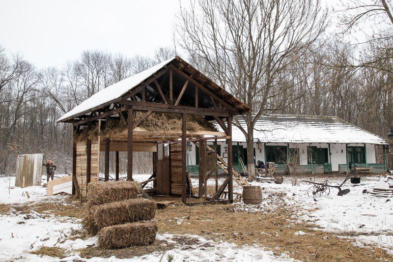 Ferma Vedetelor (1)