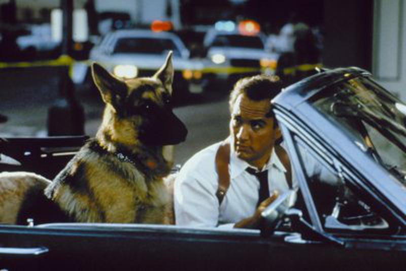Nume de cod K-9 - James Belushi