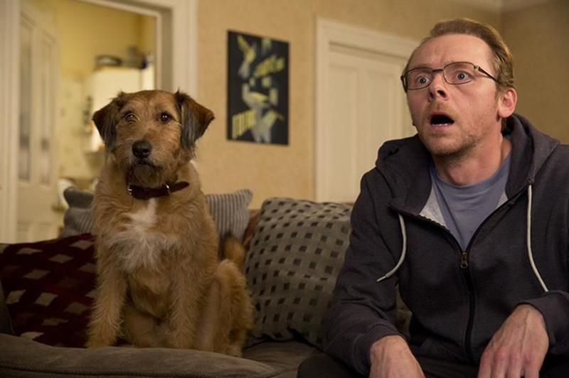 Absolutely Anything