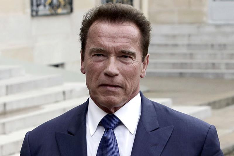 President Hollande Receives Arnold Schwarzenegger - Paris