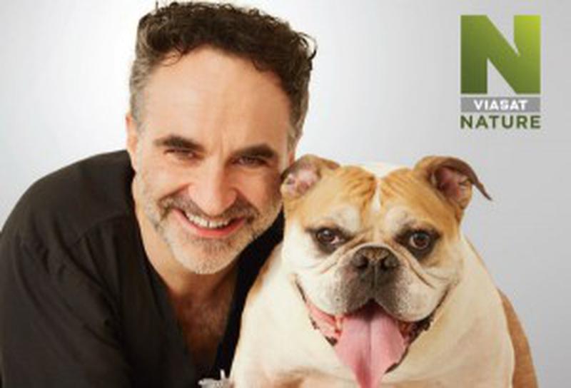 Supervet1