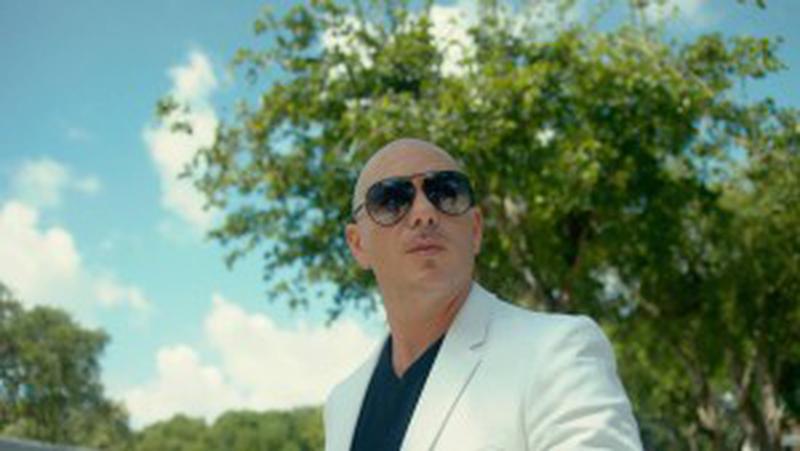 pitbull