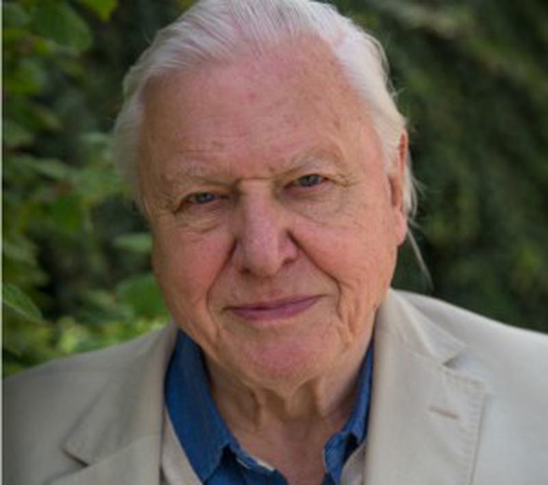David Attenborough