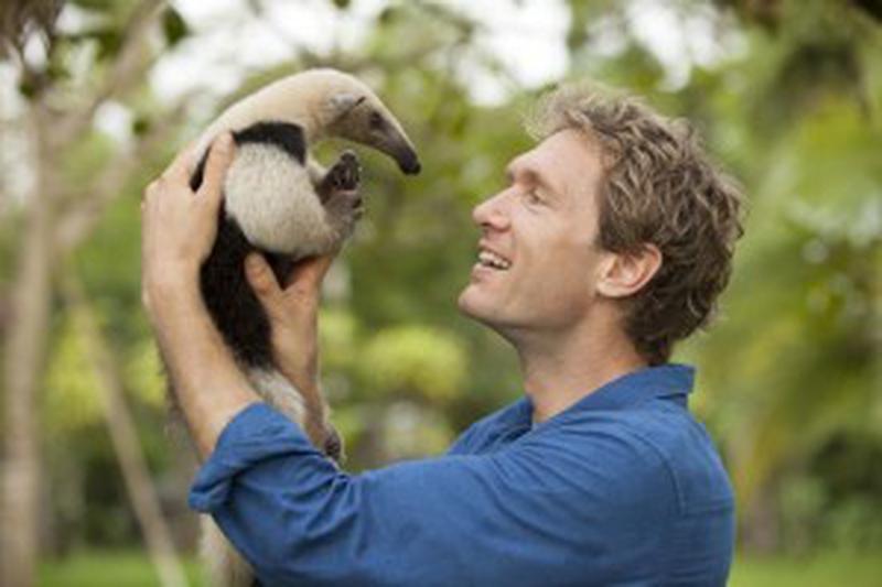 Episode 2. PICTURE SHOWS: Max Hug Williams and baby northern tamandua