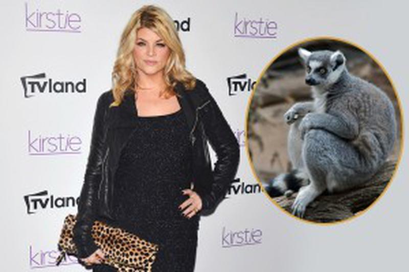 Mandatory Credit: Photo by Henry Lamb/Photowire/BEImages (1829598h) Kirstie Alley 'Kirstie' TV series premiere party, New York, America - 03 Dec 2013