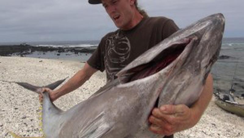 Discovery Channel