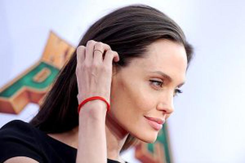 Kung Fu Panda 3 Los Angeles Premiere