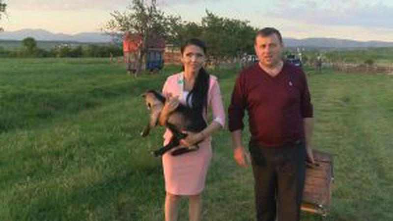 Andreea Mantea Se striga darul