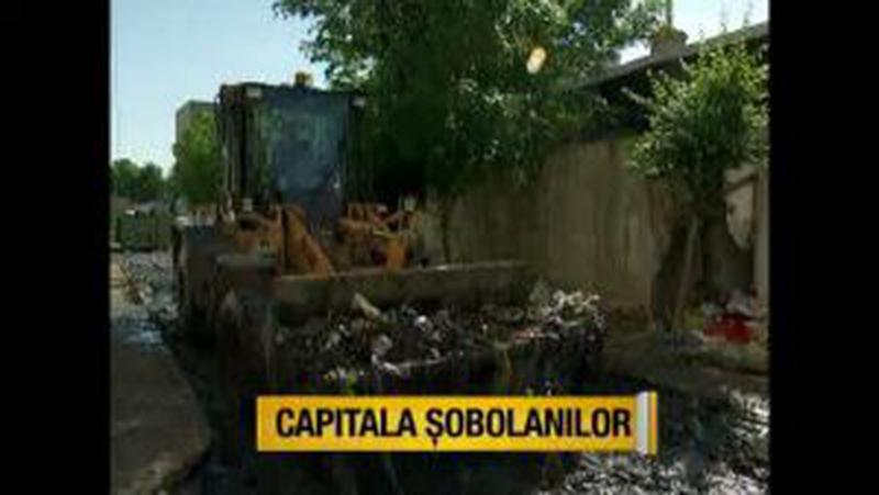 captura Asta-i Romania 1