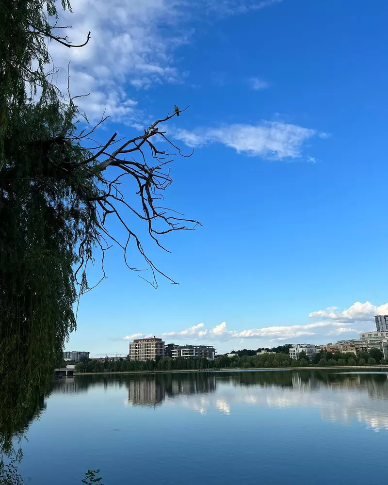 Adela-Popescu-reactie-inedita-dupa-ce-Radu-Valcan-a-plecat-de-acasa-3