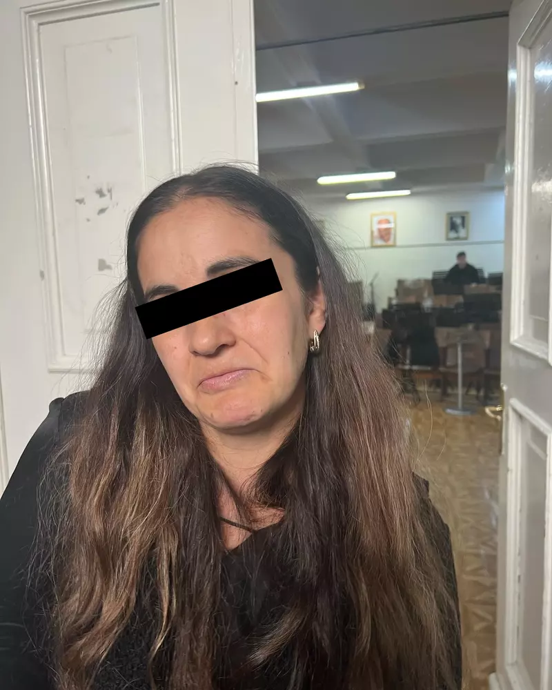 Escroacă Ozana Barabancea Opera Națională