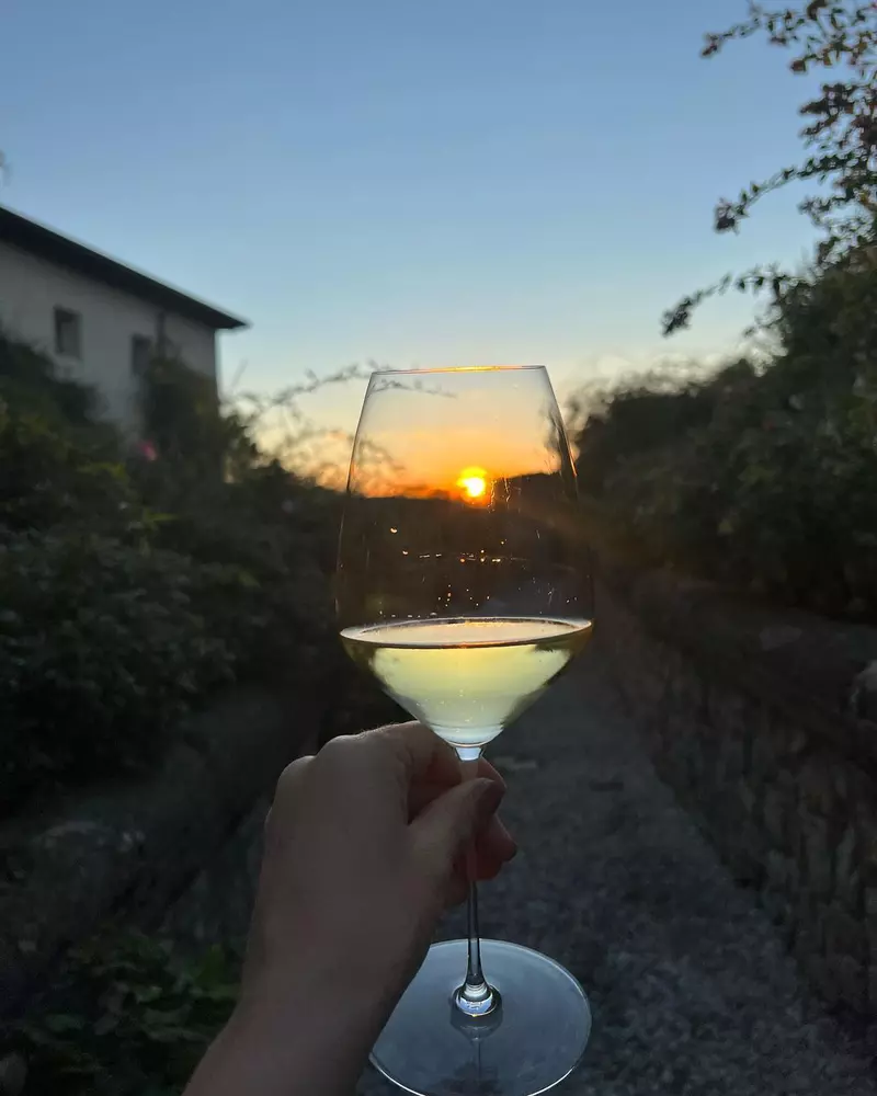 Laura-Cosoi-impresionata-de-frumusetile-Veronei.-Cum-a-surprins-o-Cosmin-Curticapean-9