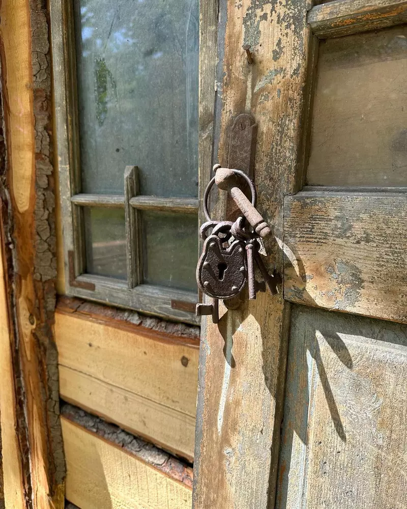 Mihaela Bilic și-a construit cabană pe Valea Prahovei