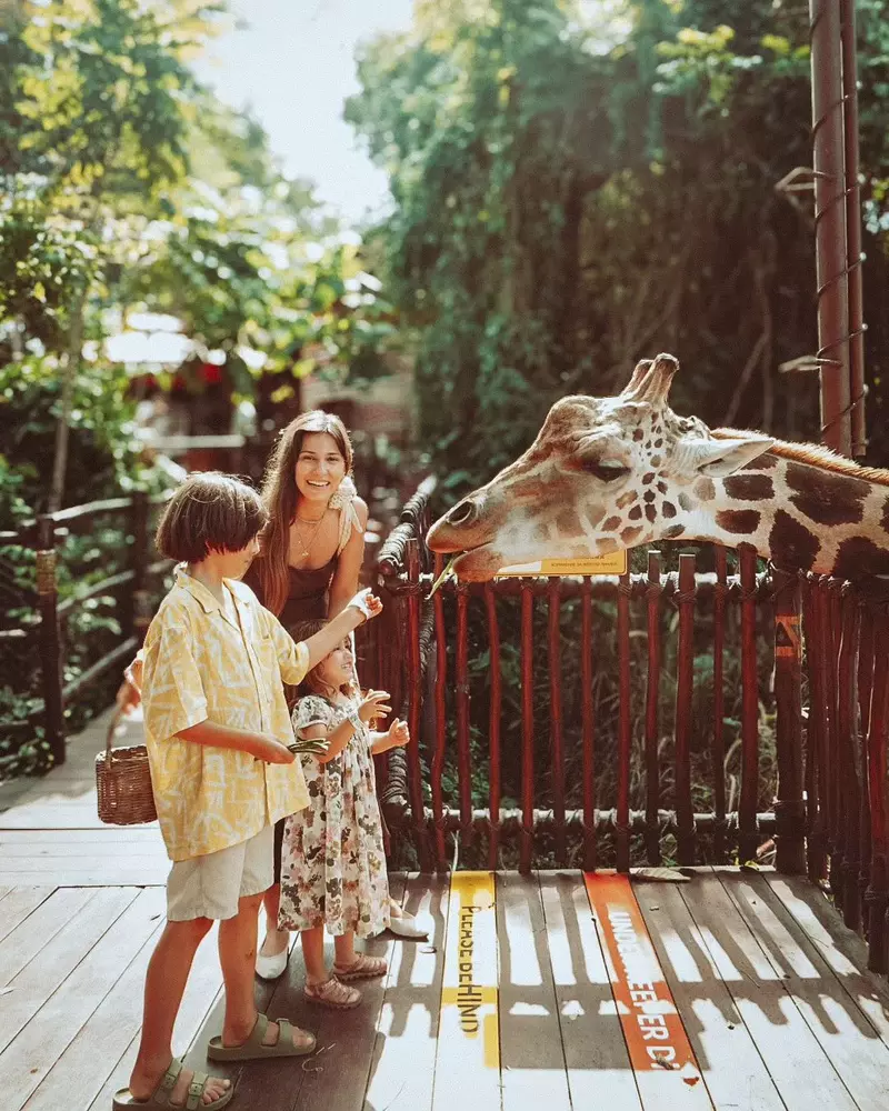 Dana-Rogoz-Bali-1