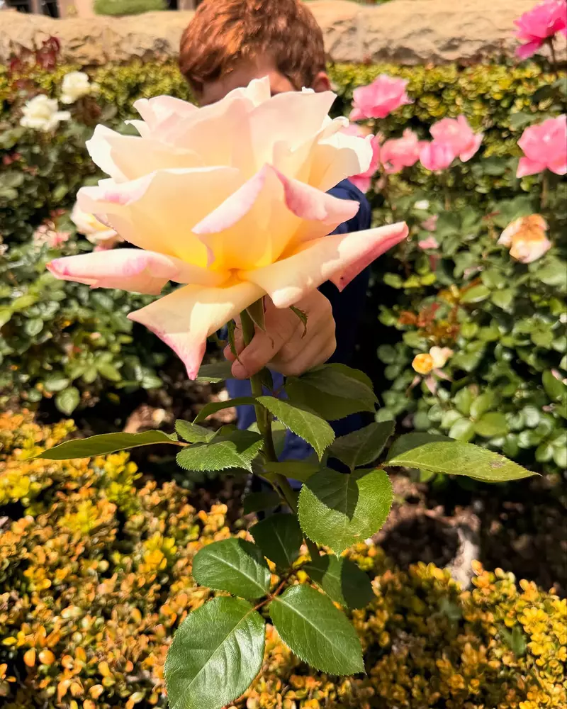 Meghan-Markle-noi-imagini-adorabile-cu-copiii-ei (2)