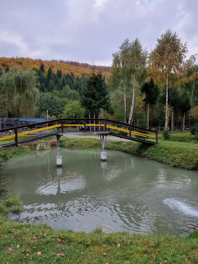 ROventura, 17 decembrie 2022. Incursiune de poveste pe plaiuri muscelene