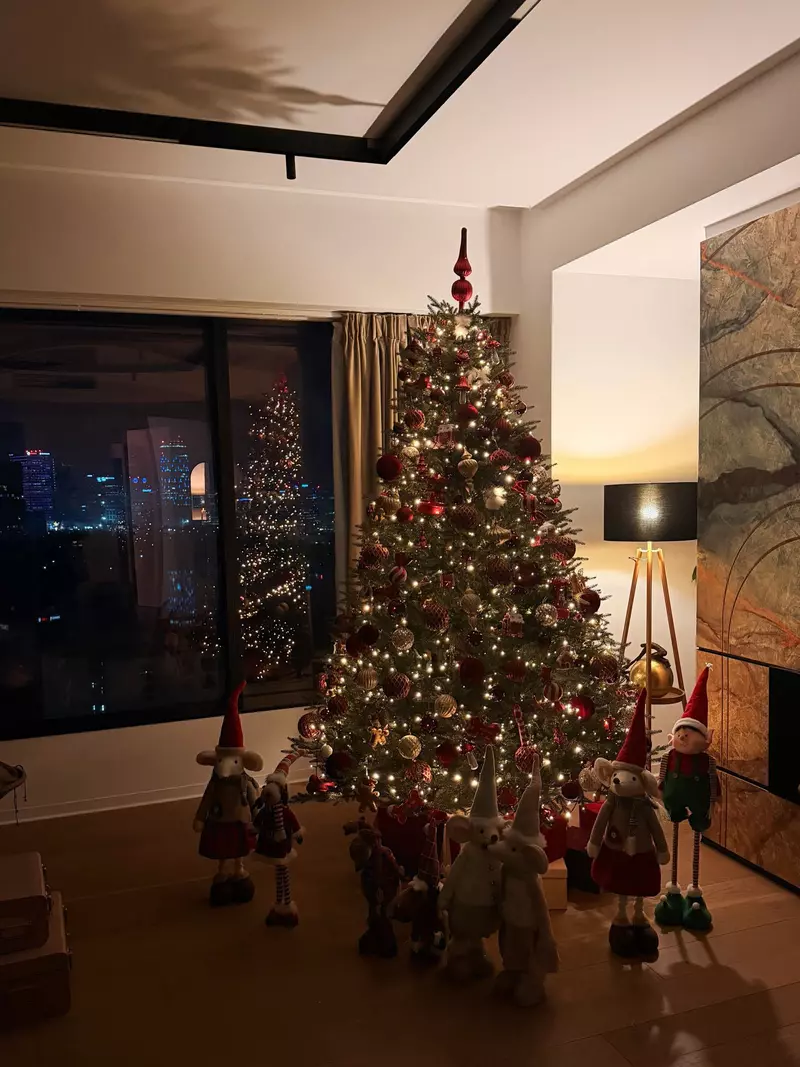 brad emily burghelea