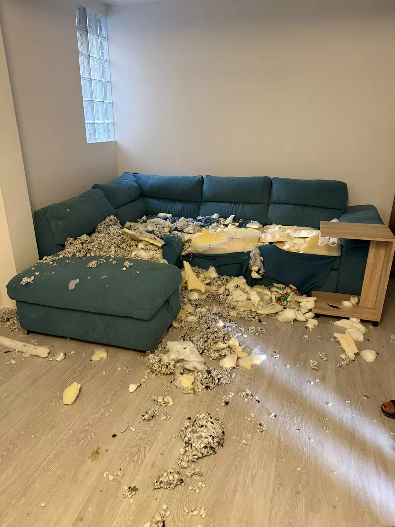apartament distrus calina dumitrescu  (2)