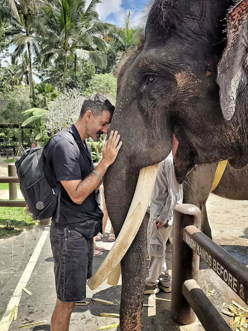 Ciprian-Teodorescu–Bali-1