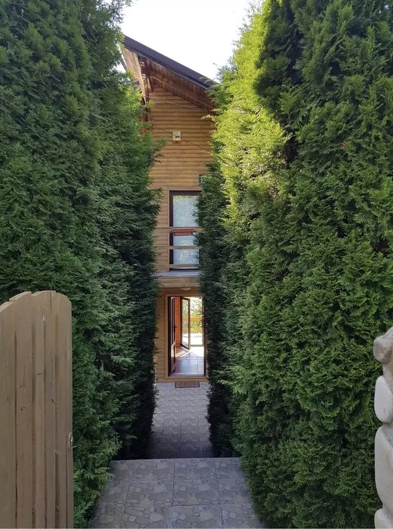 andreea-marin-casa-la-munte-6