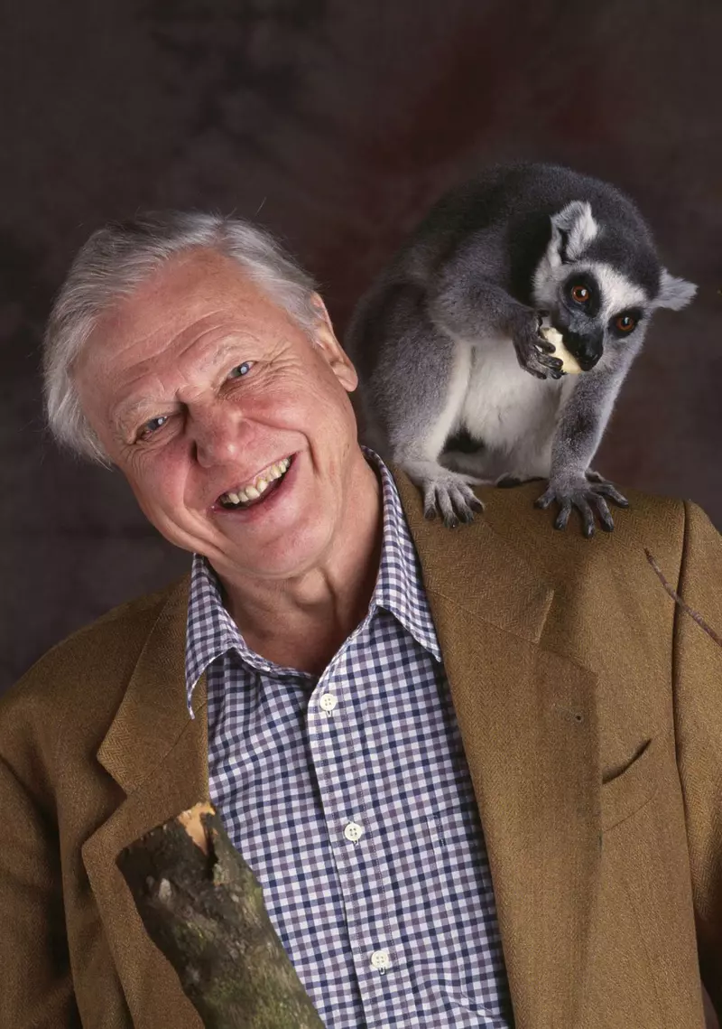 Attenborough at 90