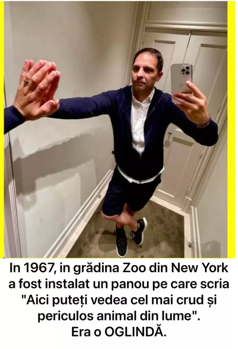 Dan-Negru-2022-274914529_526825429007157_1455136957606210088_n