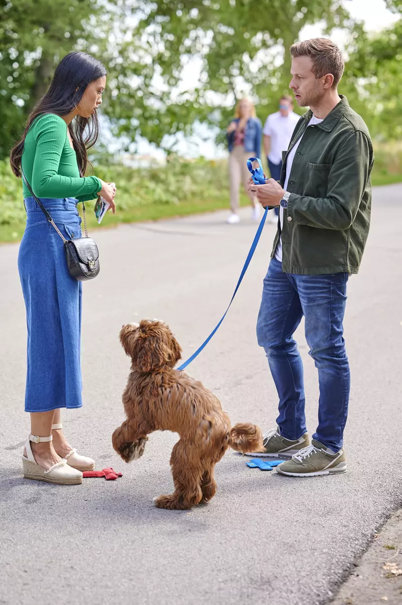 prietenul-perfect-mr.-pawsitively-perfect-3