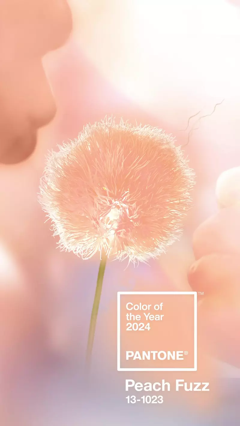 Peach Fuzz, culoarea anului 2024 Pantone