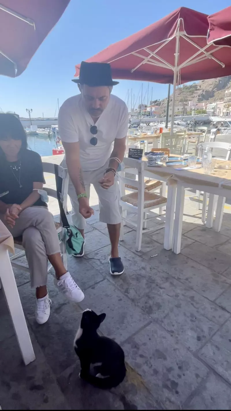 chef-Bontea-animalele-chefi-fara-limite-2