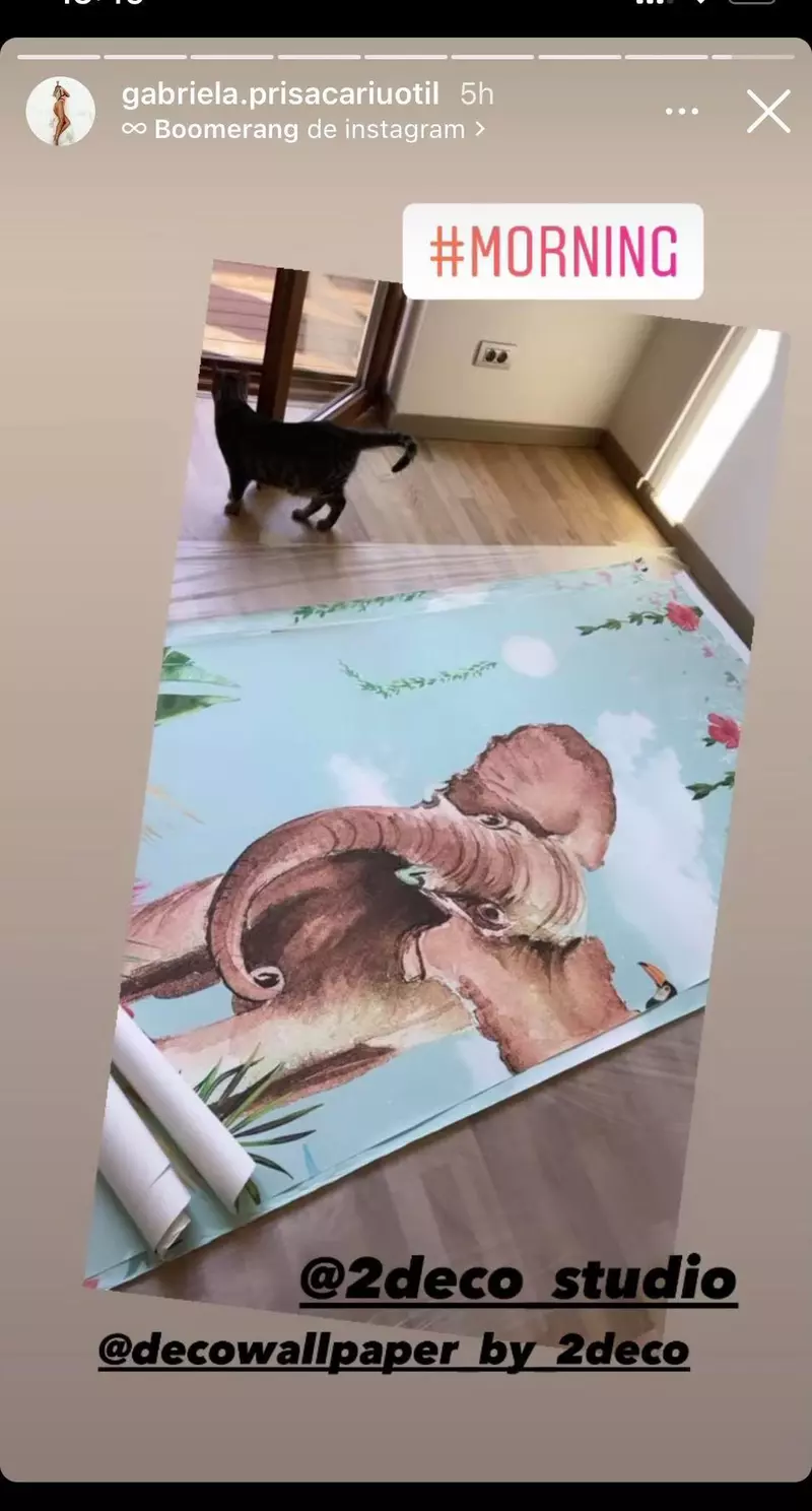 Cum arată camera băiețelului pe care îl așteaptă Dani Oțil și Gabriela Prisăcariu (1)