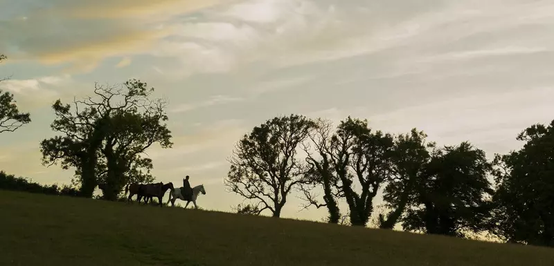 cavalerul-celor-sapte-regate (3)