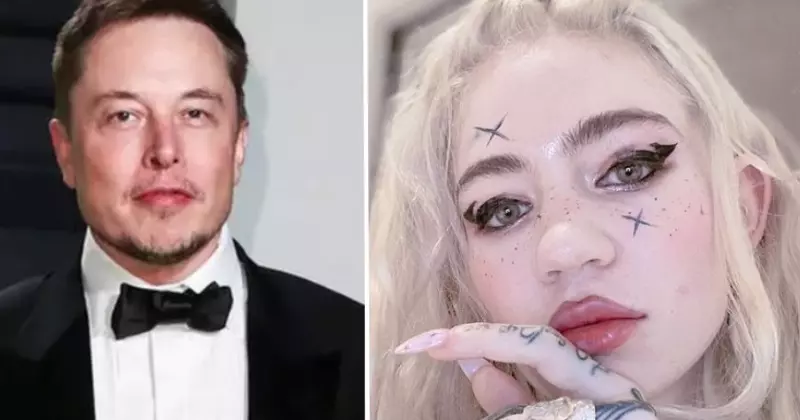 elon acces